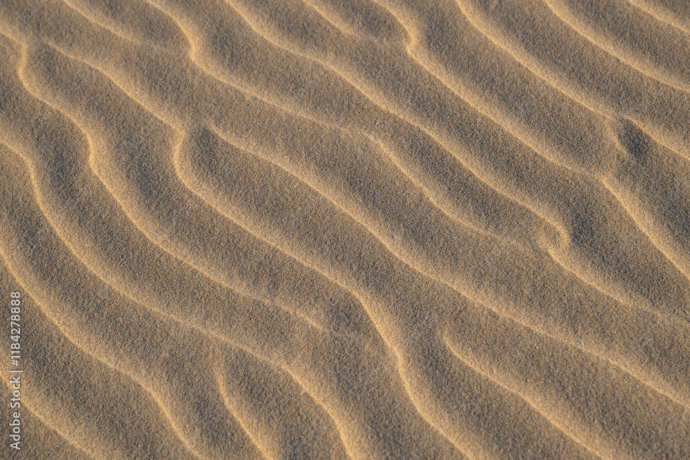 Sand in a wave pattern on the beach of the Mediterranean Sea at Habonim Beach Nature Reserve in Israel.
Sand in a wave pattern on the beach of the Mediterranean Sea at Habonim Beach Nature Reserve in Israel.