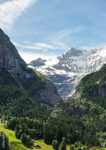 Mountain valley with snowy peaks