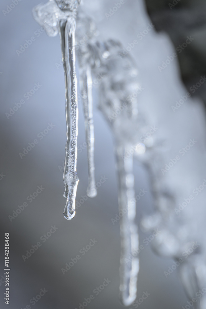 Small thin icicles near the tin roof.
Small thin icicles near the tin roof.