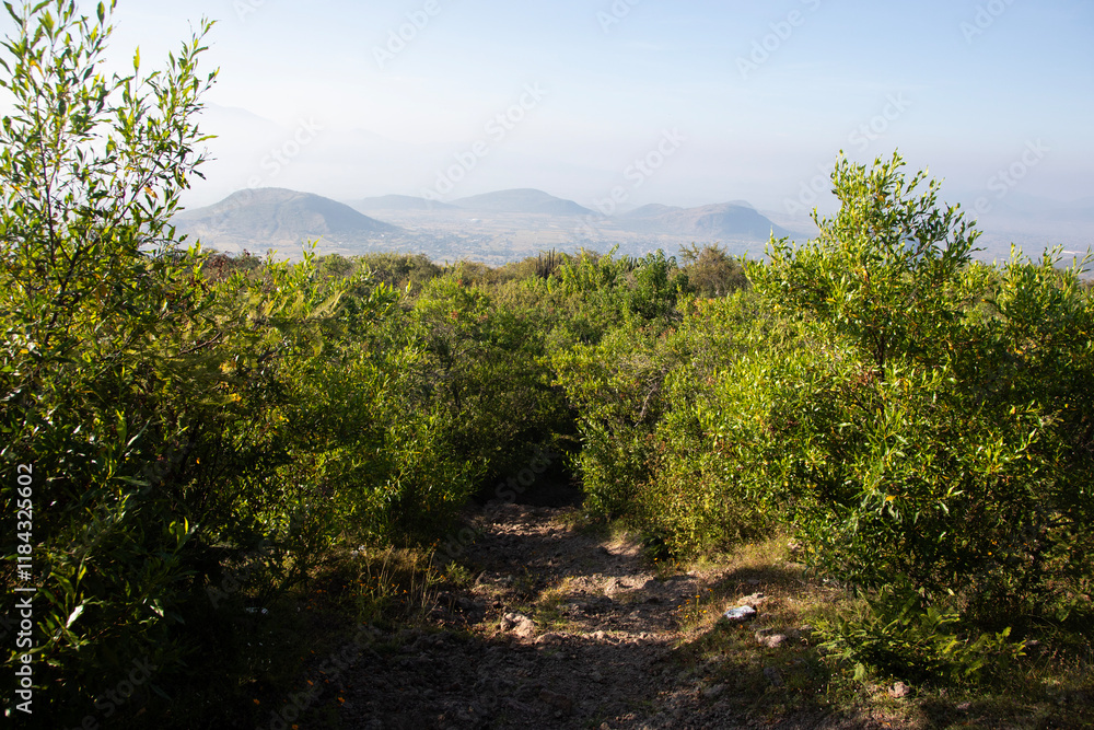 Mountain hiking trail to climb Mount Picacho in the Oaxaca Valley in Mexico. Mountain hiking trail to climb Mount Picacho in the Oaxaca Valley in Mexico.