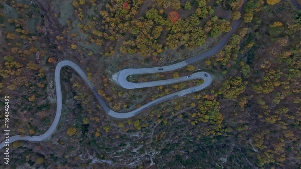 Aerial view of a winding road through beautiful autumn foliage with vibrant orange and yellow leaves, Papigo, Greece. Aerial view of a winding road through beautiful autumn foliage with vibrant orange and yellow leaves, Papigo, Greece.