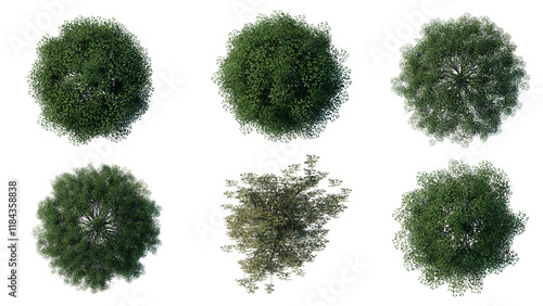 tree top view plant landscape architecture nature garden aerial render. trees branch isolate collection illustration environment green botany urban bush park. tree architecture conifer decorative.