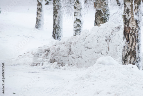snowdrift