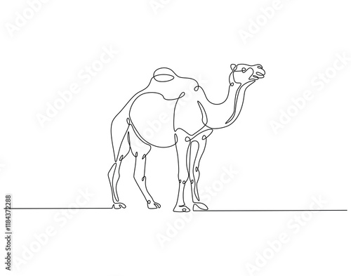 Continuous line drawing of camel. Single line illustration of arabian camel. Dessert animal, dromedary vector outline. Editable outline