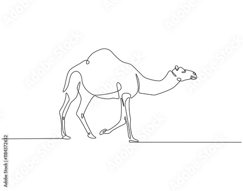 Continuous line drawing of camel. Single line illustration of arabian camel. Dessert animal, dromedary vector outline. Editable outline