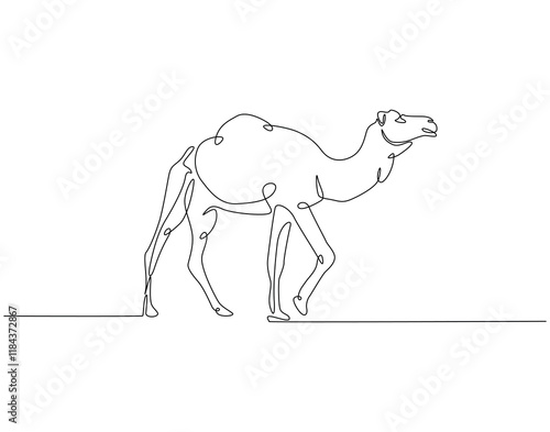 Continuous line drawing of camel. Single line illustration of arabian camel. Dessert animal, dromedary vector outline. Editable outline