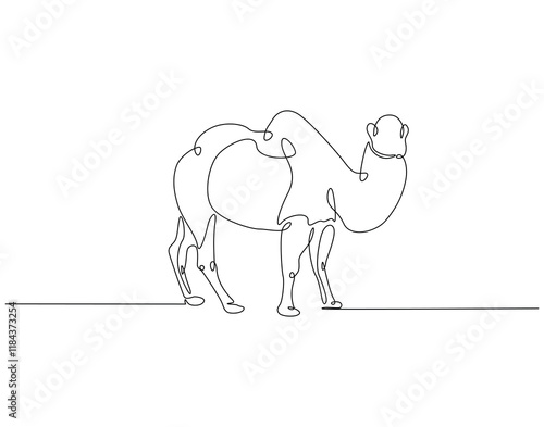 Continuous line drawing of camel. Single line illustration of arabian camel. Dessert animal, dromedary vector outline. Editable outline