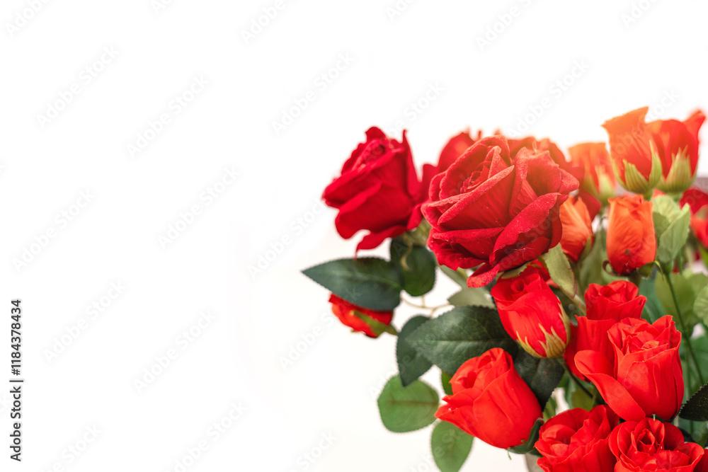 Fototapeta premium Artificial flowers Red flowering rose bush as frame border isolated on white background included. suitable for graphic projects Card Banner Valentine, Love, Wedding.