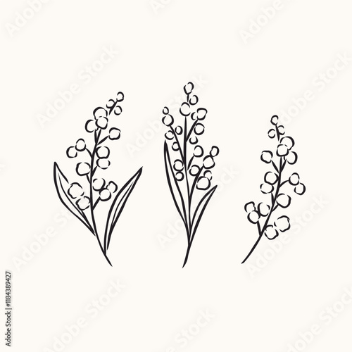 Hand drawn wattle branches illustration