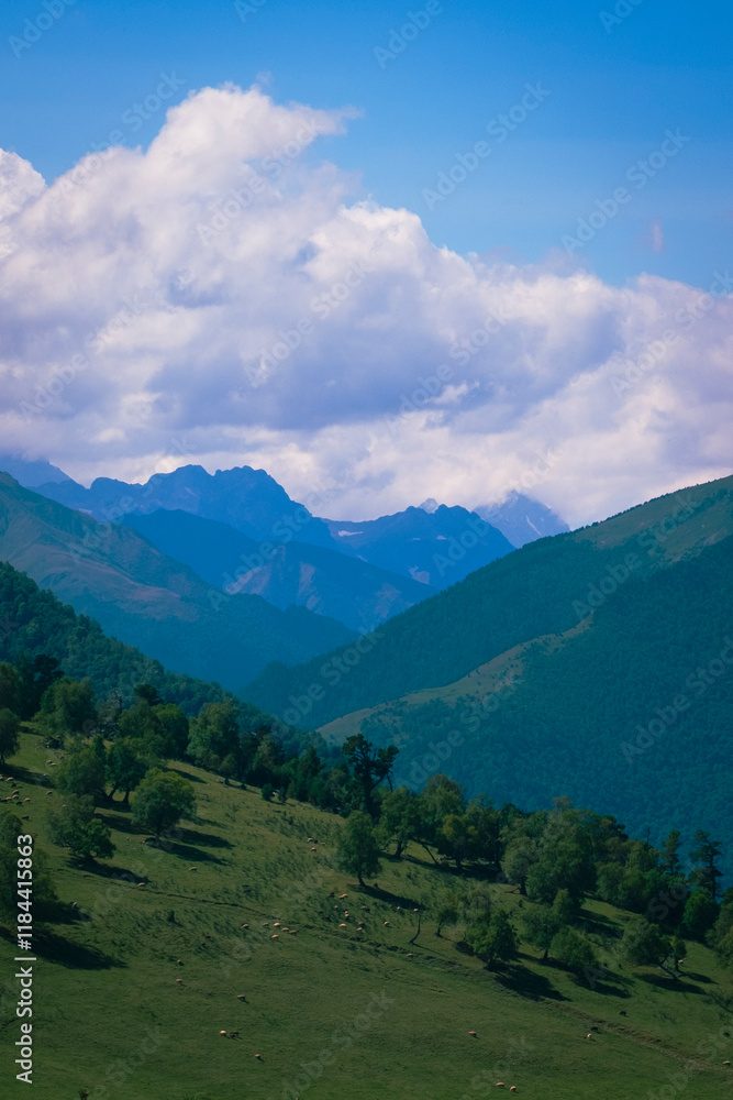 landscape in summer landscape in summer