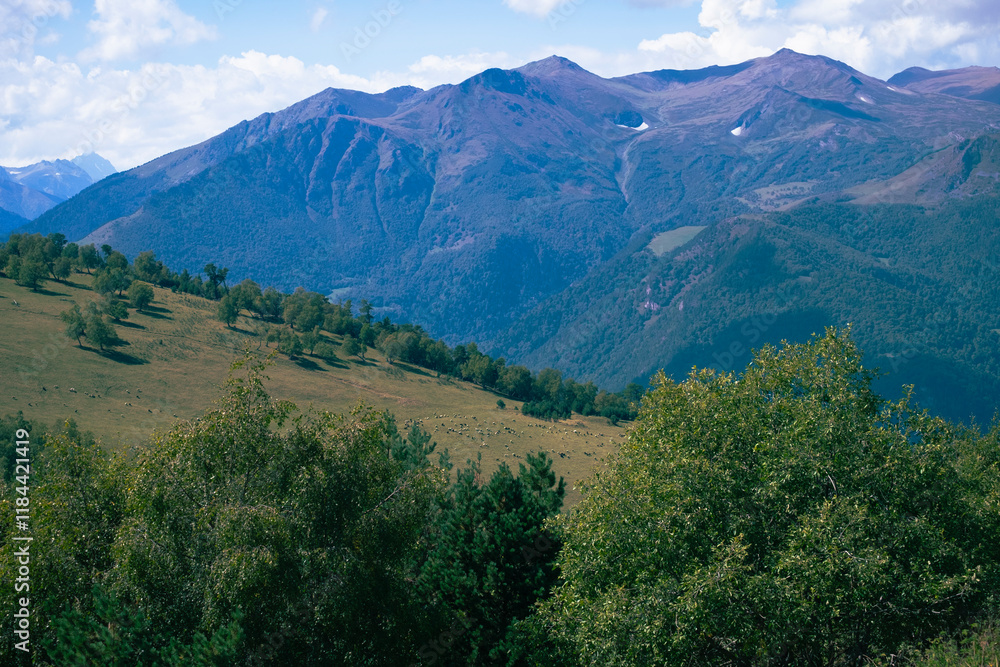 Obraz premium landscape in the mountains