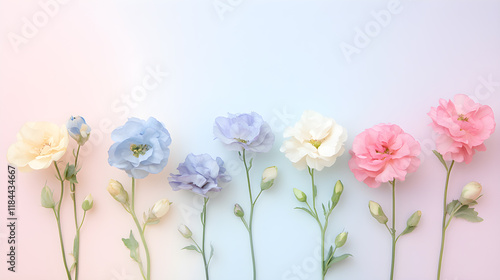 Wallpaper Mural The flowers are arranged neatly on a pastel gradient background. Torontodigital.ca