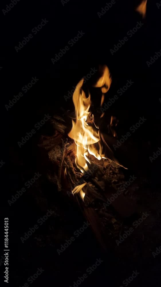 Bonfire in dark environment vertical video 1 Bonfire in dark environment vertical video 1
