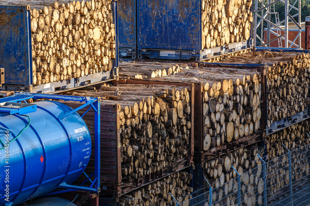 Stacked logs in shipping containers at lumber yard of cargo port on