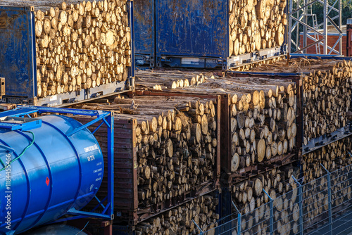 Obraz na płótnie Stacked logs in shipping containers at lumber yard of cargo port on w salonie