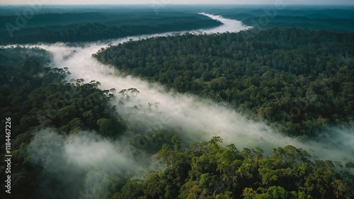 Wallpaper Mural Misty Forest Landscape with Rolling Hills and Lush Greenery Torontodigital.ca