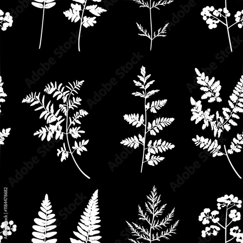 Collection of Sweet Cicely icons, Sweet Cicely illustration art, seamless pattern