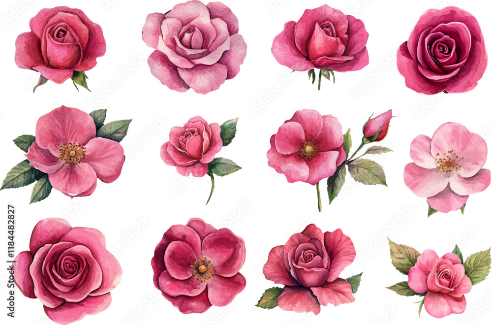 seamless pattern of roses seamless pattern of roses