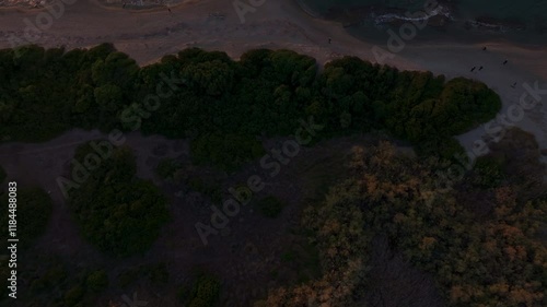 Aerial view of dimitrios shipwreck at sunrise along the tranquil valtaki beach and clear mediterranean sea, Valtaki, Greece. photo