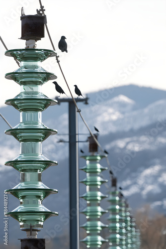 High-Voltage Transmission Lines with Glass and Ceramic Insulators in Mountainous Terrain photo