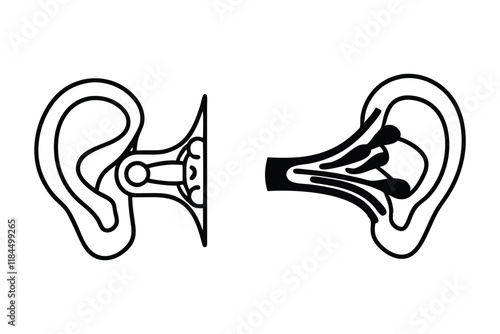 Set of minimalistic human ear anatomy illustrations, highlighting ear parts in line art for scientific, medical, or academic presentations