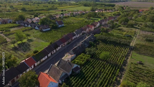 Aerial view of picturesque vineyard and charming wine cellar village with traditional architecture and serene countryside, Hajos, Hungary. photo