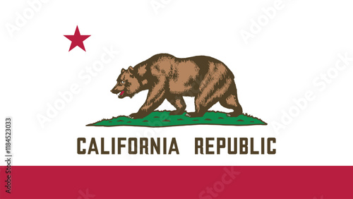 California US State Flag Vector Illustration