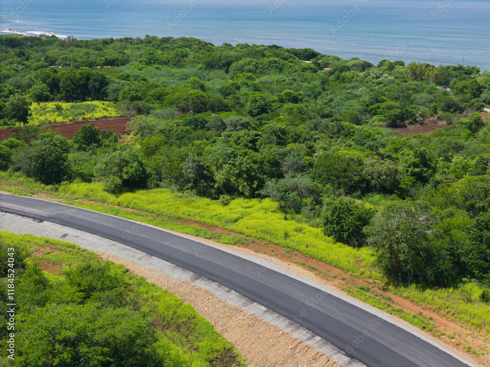 Fototapeta premium Asphalt road on green jungle background