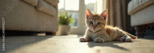 Banner, Cute and Cozy Atmosphere: Kitten Lying on the Floor in a Bright Interior