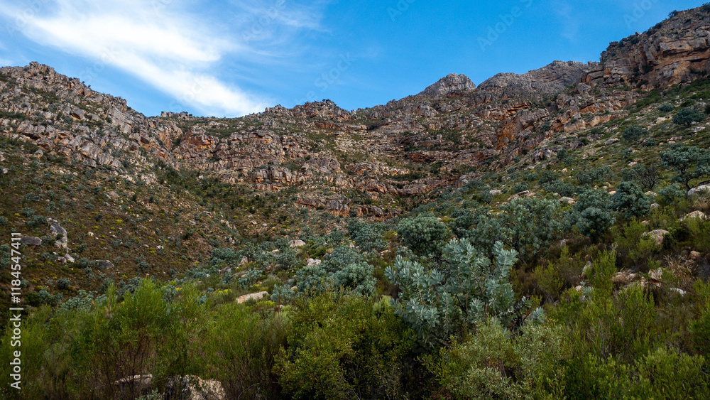 The high mountain face and rocks that make up many mountain ranges in the Western Cape, South Africa. Red and white rocks with fynbos and Waboom trees. The high mountain face and rocks that make up many mountain ranges in the Western Cape, South Africa. Red and white rocks with fynbos and Waboom trees.