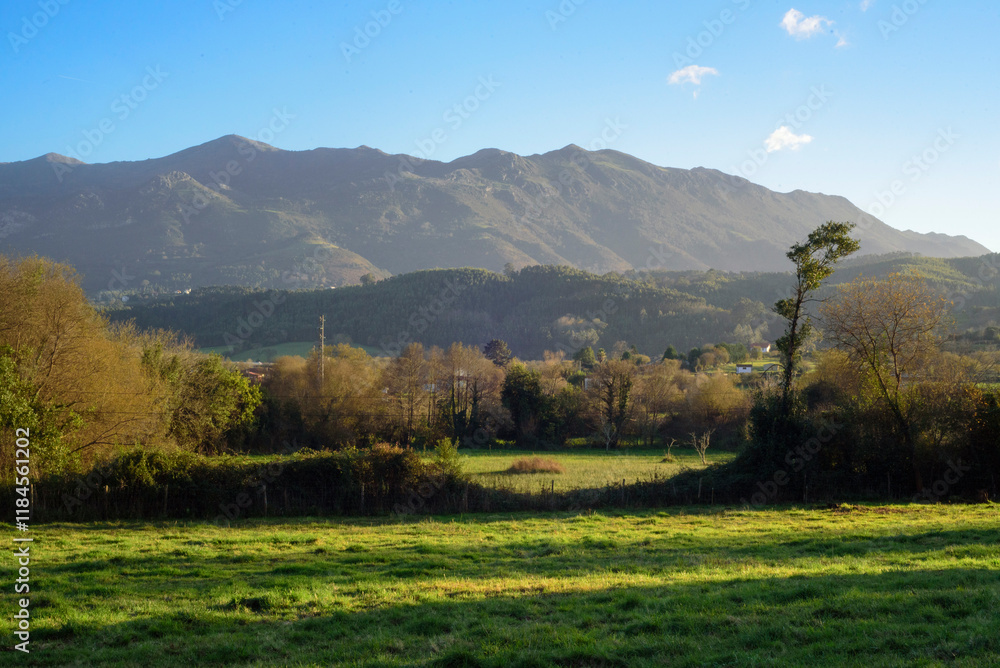 Obraz premium Pradera de pasto verde frente a Sierra del Sueve en Asturias en día de iniverno