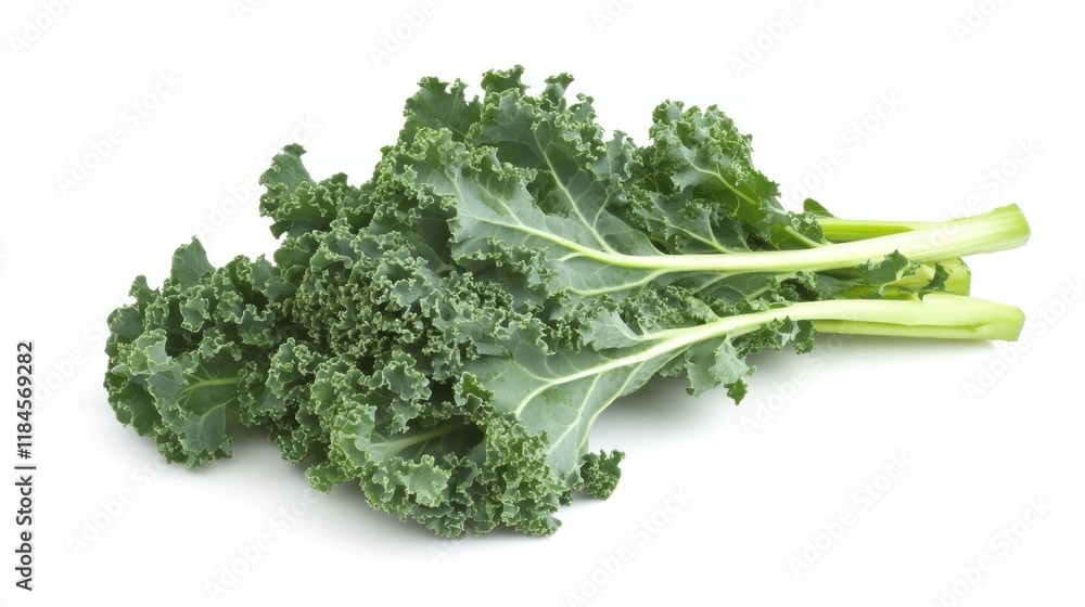 Fresh Green Kale Bunch Isolated on White Fresh Green Kale Bunch Isolated on White