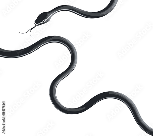 snake line vector illustration white background