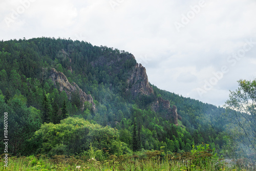 landscape with trees and clouds