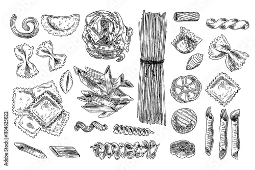 Set of assorted types of Italian pasta. Spaghetti, cannelloni, farfalle, tagliatelle, etc. Hand drawn vector isolated set.