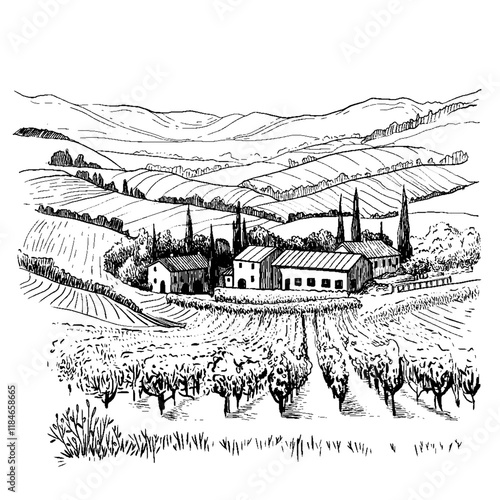Landscape of rows of vineyards and farm winery in graphic style. Vector Illustration