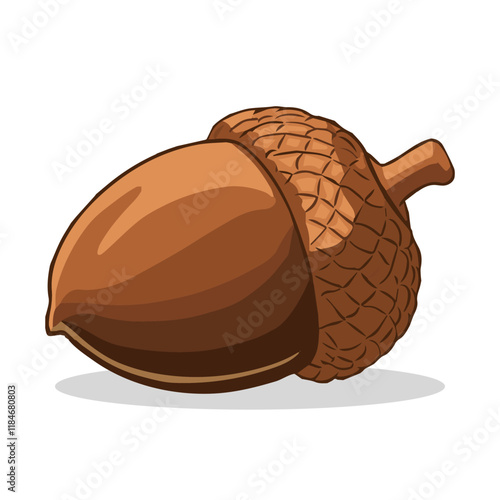 A close-up of a single acorn, showcasing its intricate details. The acorn is a brown nut encased in a textured cap, with a small stem at the top