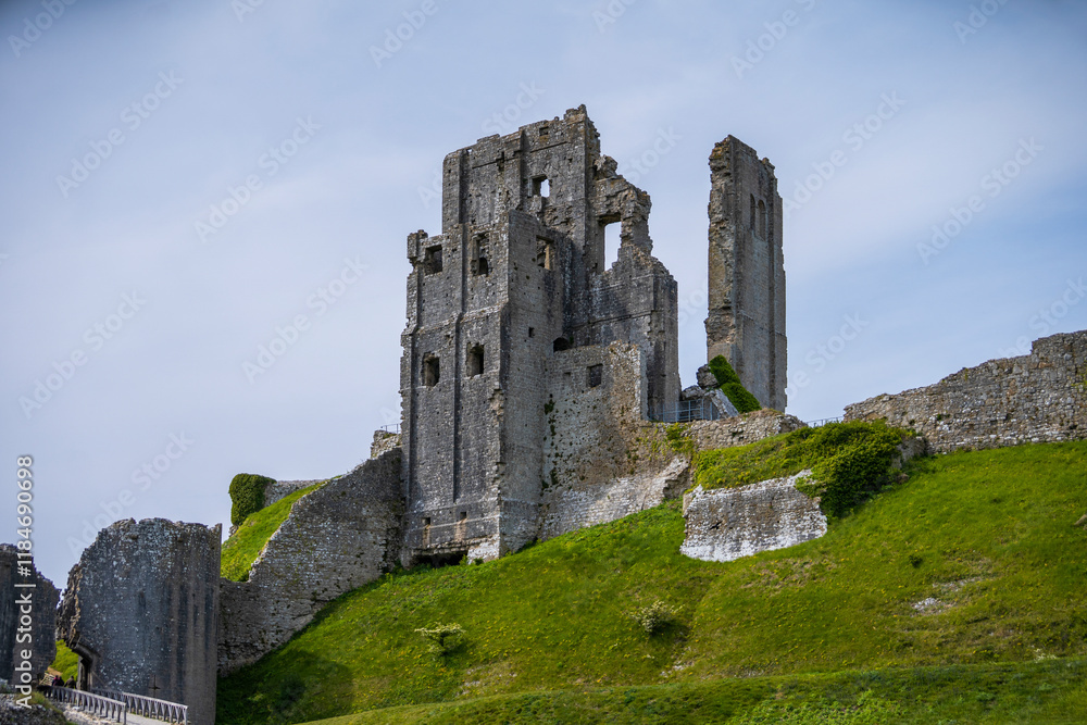 View of corfe castle ruins on purbeck hills surrounded by grass, Wareham, United Kingdom. View of corfe castle ruins on purbeck hills surrounded by grass, Wareham, United Kingdom.