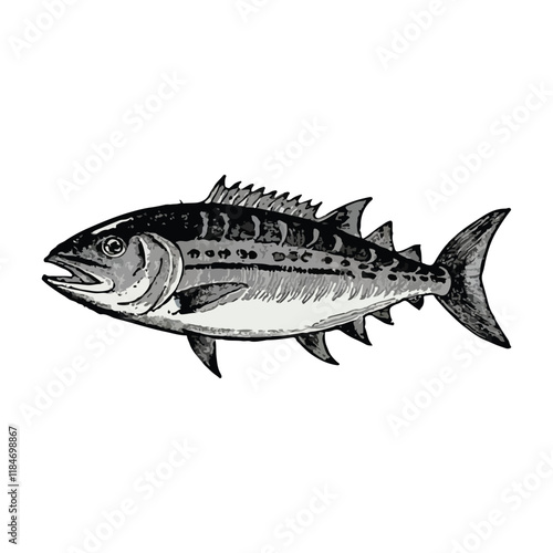 Tuna fish hand drawing vintage engraving vector