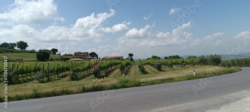 Horizon