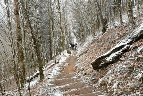 Winter snow falls in the Gatlinburg Mountains of Tennessee