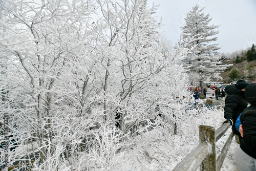 Winter snow falls in the Gatlinburg Mountains of Tennessee