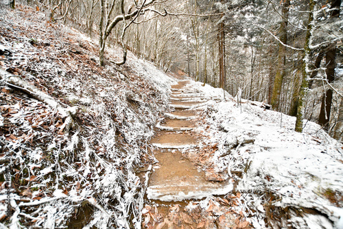 Winter snow falls in the Gatlinburg Mountains of Tennessee