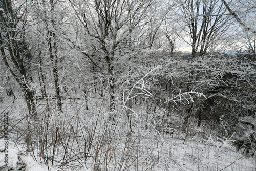Winter snow falls in the Gatlinburg Mountains of Tennessee