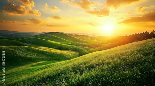 Rolling hills covered in green grass under a golden sunset sky