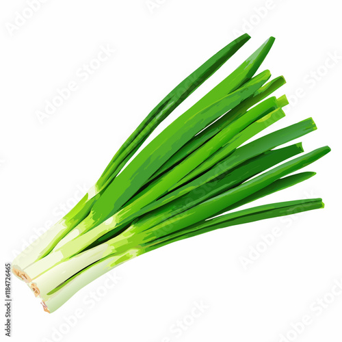 Bunch of green onions isolate vector illustration (6)