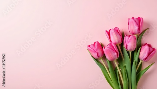 Wallpaper Mural Pink Tulips on Pink Background, Spring Flower Bouquet, Floral Flat Lay Torontodigital.ca