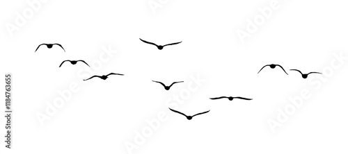 Photography png flock of birds silhouette isolated on transparent clear background