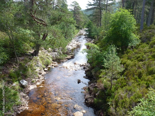 Glen Tanar, Scotland photo