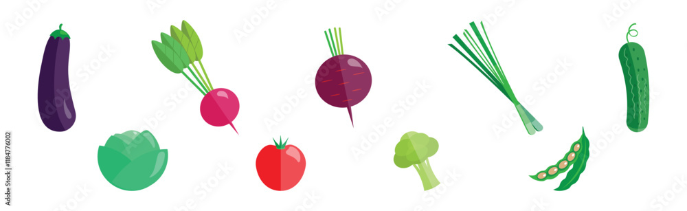 Raw Organic Vegetable and Healthy Veggie Flat Vector Set Raw Organic Vegetable and Healthy Veggie Flat Vector Set